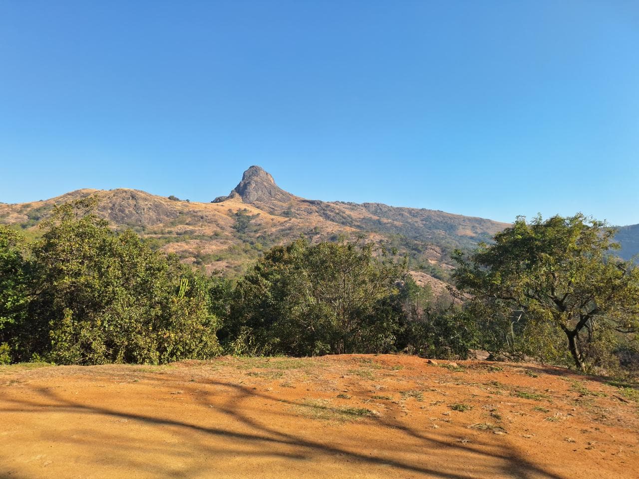 Full-Day Hlane Royal Park Safari & Culture Tour